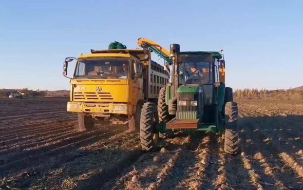 北大荒众荣四行甜菜收获机作业视频