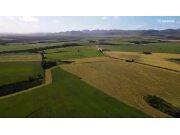 科罗尼自走式青贮饲料收获机作业视频