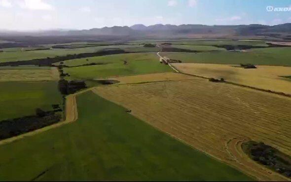 科罗尼自走式青贮饲料收获机作业视频