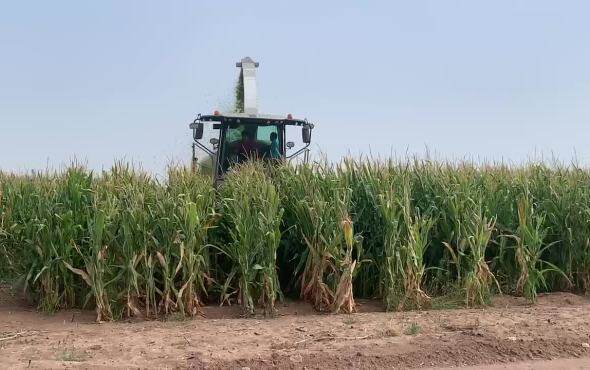 鑫万达9QX_7500BC作业视频1