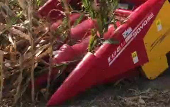 中农博远4YZ-4M玉米收获机作业视频