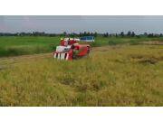 久保田PRO888GM半喂入履带式收割机作业视频