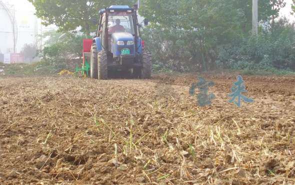 大华宝来旋耕施肥播种机作业视频