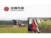 沃得DB150A半喂入收割机作业视频