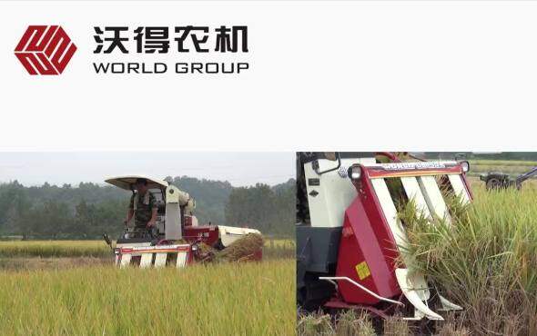 沃得DB150A半喂入收割机作业视频