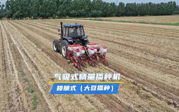 大华宝来5行气吸式精量施肥播种大豆视频