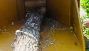 威猛BC1000S树枝粉碎机作业视频