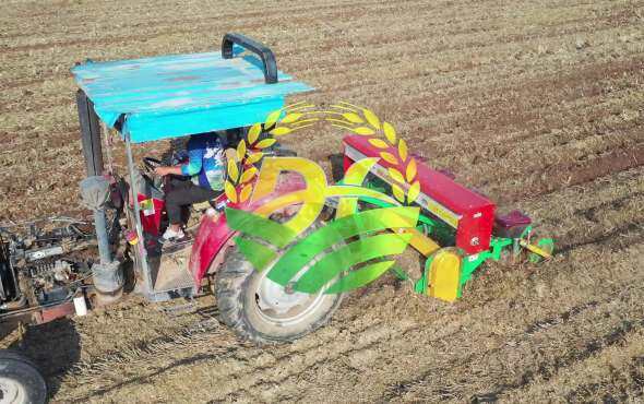 大华宝来玉米清茬免耕施肥播种机作业视频2