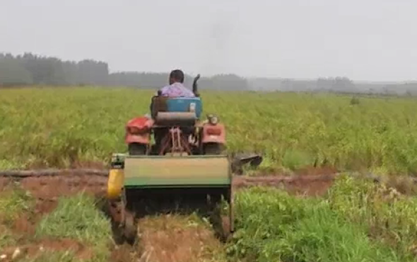 青岛璞盛1JH-110杀秧机作业视频