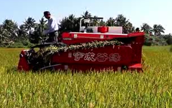 宇成”谷缘”半喂入联合收割机作业视频