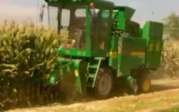 时风玉米收割机4YZP-3B田间试验视频