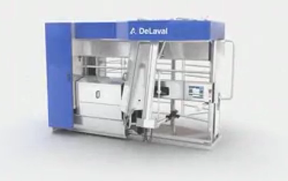 利拉伐全自动机器人挤奶系统作业视频