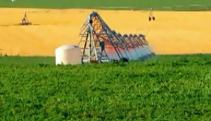 林赛公司(Lindsay)**领先的FIELDNET远程控制喷灌系统