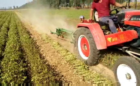 春生3H型花生收割机