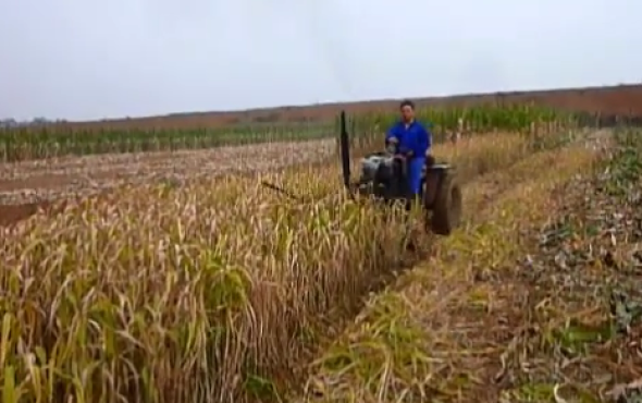 河南四达9G-1.25旋转割草机作业视频