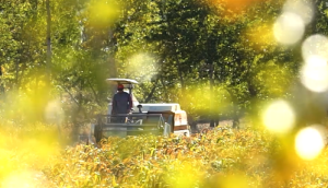 星光农机股份有限公司产品宣传片