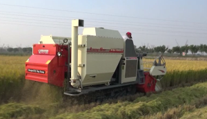 星光4LZ-3.6Q全喂入联合收割机作业视频