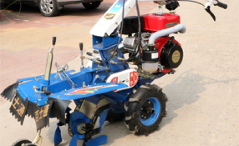 鲁潍小地龙田园管理机