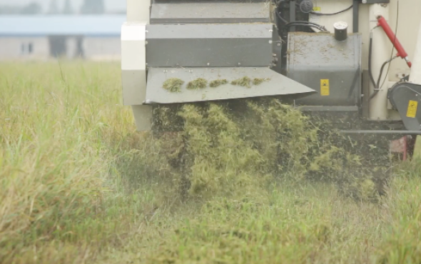 沃得锐龙切碎效果作业视频