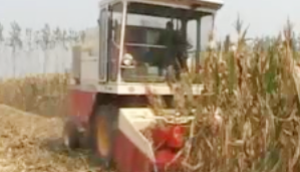 玉米籽粒收获机的使用与维护