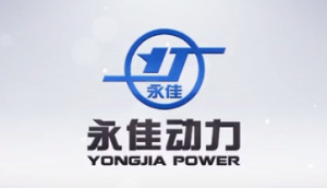 山东永佳动力股份有限公司企业宣传片（二）