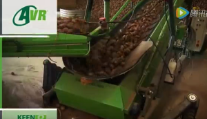 比利时AVR公司土豆设备2015