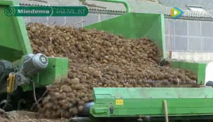 麦迪玛马铃薯输送机械