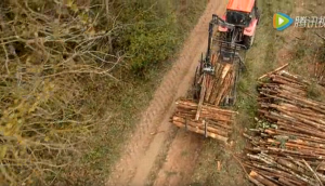 明斯克莫特兹拖拉机展示