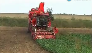 荷马公司Terra Dos T3 Plus自走甜菜收获机