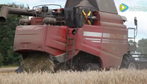 戈梅利公司GS系列联合收割机