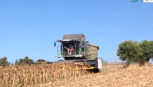 ZAFFRANI公司葵花割台配套芬特联合收割机