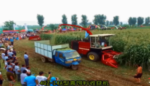 农哈哈4QZ-14A型青贮机收获机作业视频