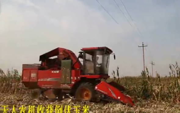 天人TR9988收获倒伏玉米作业视频