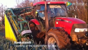 Baekelandt公司韭葱收获机视频