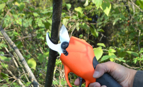 电动修枝剪果树修枝剪刀