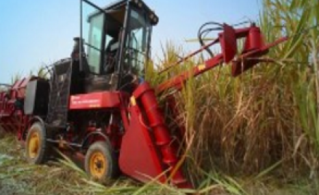 中首信4GZ-GZ100/125甘蔗联合收割机