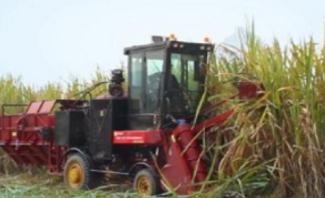 中首信4GQ-GZ180甘蔗联合收割机