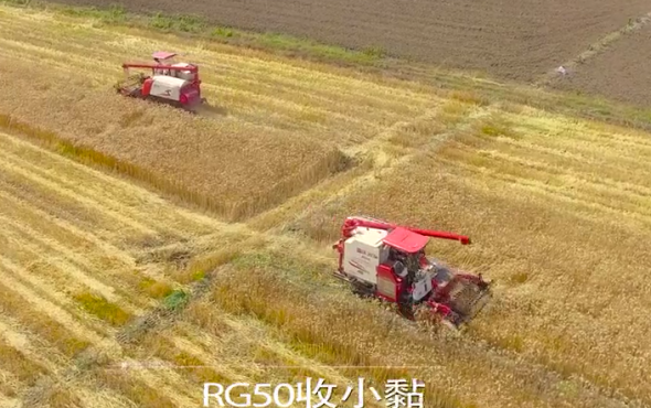 雷沃谷神带给您收获作业的完美体验