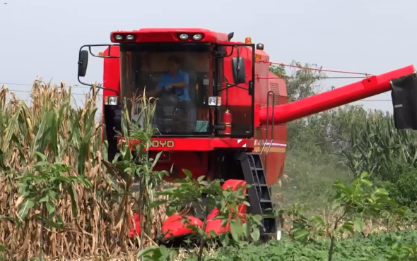 中农博远4YL-5玉米联合收获机作业视频