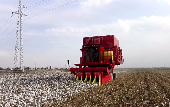 钵施然4MZ-3A自走式棉花收获机作业视频