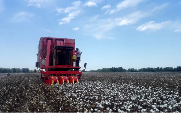 钵施然4MZ-3A自走式棉花收获机作业视频2