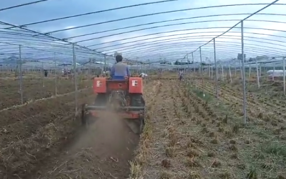 湖南农夫NF-Y602履带拖拉机-大棚王-作业视频