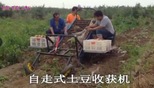 森海佐佐木土豆收获机