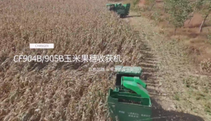 常发农装CF904B/905B玉米果穗收获机作业视频