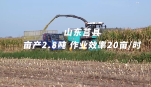 倍托H13山东莒县作业视频