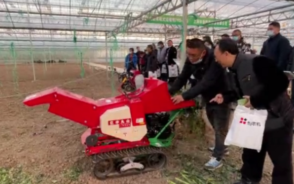 浙江省设施种植机械化现场会_自走式履带藤蔓机演示现